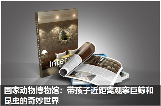 国家动物博物馆：带孩子近距离观察巨鲸和昆虫的奇妙世界