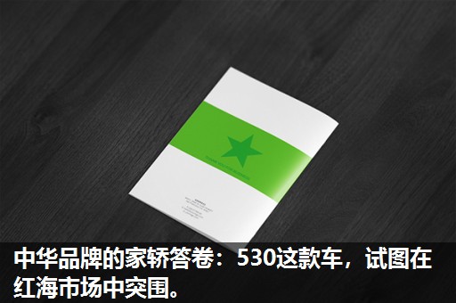 中华品牌的家轿答卷：530这款车，试图在红海市场中突围。