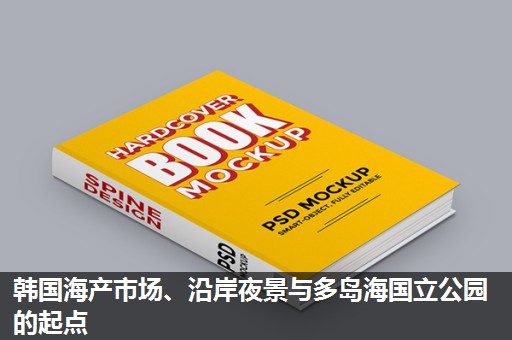 韩国海产市场、沿岸夜景与多岛海国立公园的起点
