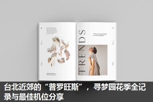 台北近郊的“普罗旺斯”,寻梦园花季全记录与最佳机位分享 台北近郊的“普罗旺斯”,寻梦园花季全记录与最佳机位分享