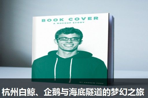 杭州白鲸、企鹅与海底隧道的梦幻之旅 杭州白鲸、企鹅与海底隧道的梦幻之旅