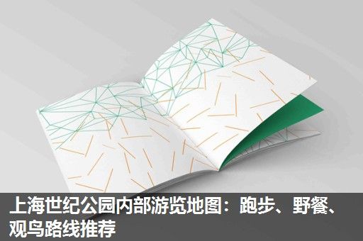 上海世纪公园内部游览地图：跑步、野餐、观鸟路线推荐