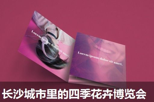 长沙城市里的四季花卉博览会