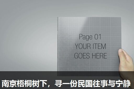 南京梧桐树下，寻一份民国往事与宁静