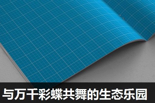 与万千彩蝶共舞的生态乐园