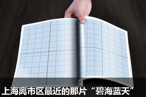 上海离市区最近的那片“碧海蓝天”