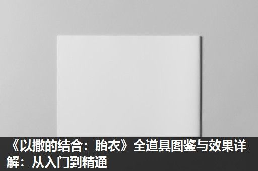 《以撒的结合：胎衣》全道具图鉴与效果详解：从入门到精通