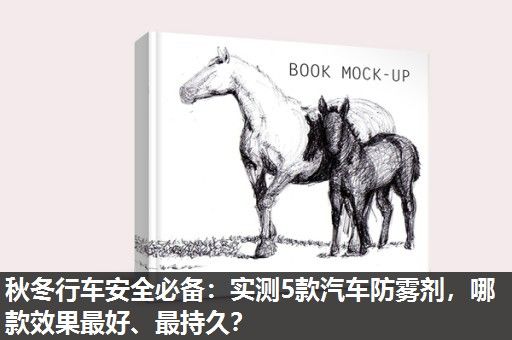 秋冬行车安全必备:实测5款汽车防雾剂,哪款效果最好、最持久? 秋冬行车安全必备:实测5款汽车防雾剂,哪款效果最好、最持久?